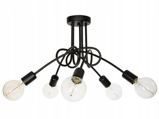 Led-lux laelamp AL-594 цена и информация | Потолочные светильники | kaup24.ee