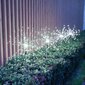 Led aiavalgustid võililled цена и информация | Aia- ja õuevalgustid | kaup24.ee