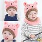 Laste salli, mütsi ja kinnaste komplekt Bearbro hind ja info | Imikute mütsid, sallid, kindad | kaup24.ee