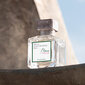 Parfüümvesi Maison Francis Kurkdjian L`Homme À La Rose, 70 ml hind ja info | Meeste parfüümid | kaup24.ee