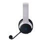 Razer Legendary Duo Bundle White (RZ82-03980100-B3M1) цена и информация | Kõrvaklapid | kaup24.ee