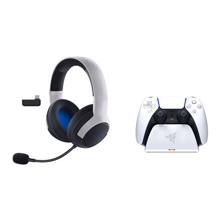 Razer Legendary Duo Bundle White (RZ82-03980100-B3M1) цена и информация | Kõrvaklapid | kaup24.ee