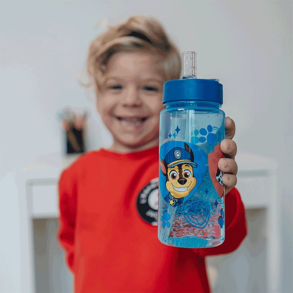 Joogipudel Paw Patrol, 500ml цена и информация | Joogipudelid | kaup24.ee