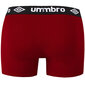 Meeste bokserid UMBRO, 6 tk, BM570, suurus M цена и информация | Meeste aluspesu | kaup24.ee