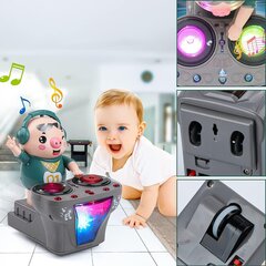 Interaktiivne mänguasi DJ Pig hind ja info | Imikute mänguasjad | kaup24.ee
