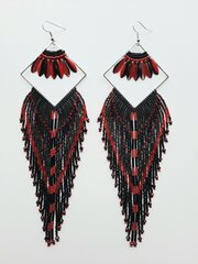 Очень длинные серьги красного и черного цвета в готическом стиле. цена и информация | Серьги | kaup24.ee