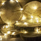 Jõulutuled 100 LED-i, 10 m hind ja info | Jõulutuled | kaup24.ee