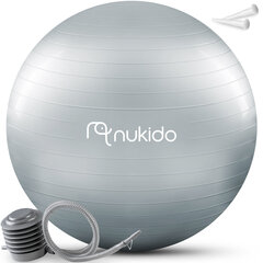 Aeroobikapall Nukido, 65 cm, hall цена и информация | Гимнастические мячи | kaup24.ee