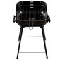 Aiagrill reguleeritava grilliga Modern Home, 40x40x60 cm, must цена и информация | Grillid | kaup24.ee