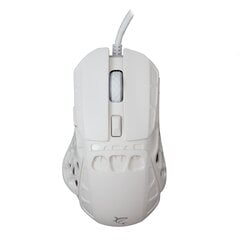 Компьютерная мышь White Shark GM-5016 Ector White цена и информация | Мыши | kaup24.ee