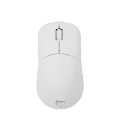 White Shark WGM-5015 Aero White цена и информация | Мыши | kaup24.ee