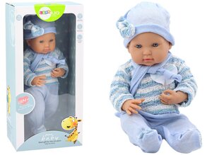 Кукла-младенец в голубой одежде и аксессуарах цена и информация | Игрушки для девочек | kaup24.ee