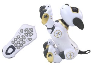 Kaugjuhitav koer, kuldne hind ja info | Poiste mänguasjad | kaup24.ee