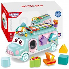 Muusikaline autosorteerija Woopie hind ja info | Arendavad mänguasjad | kaup24.ee
