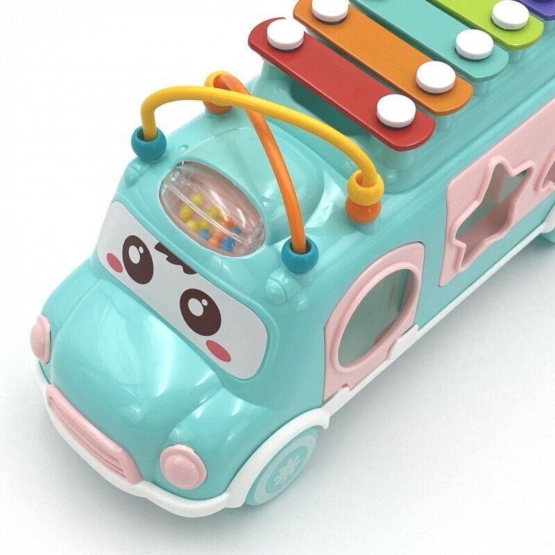 Muusikaline autosorteerija metallofoniga, roosa, WOOPIE BABY цена и информация | Arendavad mänguasjad | kaup24.ee
