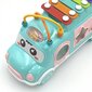 Muusikaline autosorteerija metallofoniga, roosa, WOOPIE BABY цена и информация | Arendavad mänguasjad | kaup24.ee