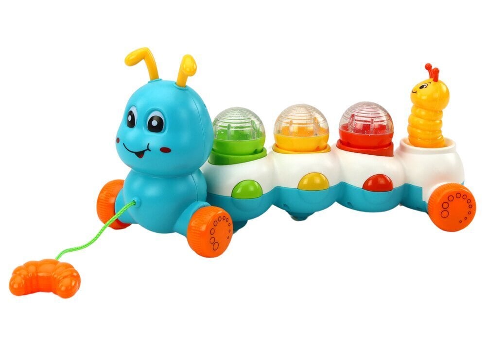 Värviline roomik koos heli- ja valgusefektidega hind ja info | Imikute mänguasjad | kaup24.ee