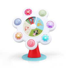 Mänguasi lastele Musical Wheel hind ja info | Imikute mänguasjad | kaup24.ee