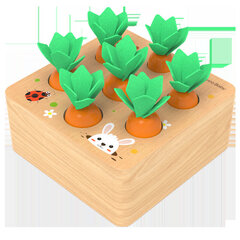 Развивающая игрушка для малышей Carrots цена и информация | Игрушки для малышей | kaup24.ee