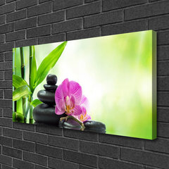 Seinapilt lõuendil Bambusest torud lillekivid hind ja info | Seinapildid | kaup24.ee