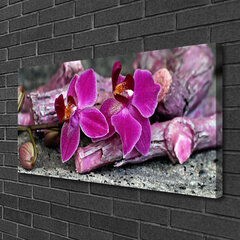 Seinapilt lõuendil Taimed puidust lilled hind ja info | Seinapildid | kaup24.ee