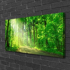 Seinapilt lõuendil Metsa loodus hind ja info | Seinapildid | kaup24.ee