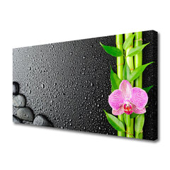Seinapilt lõuendil Bambusest torud lillekivid hind ja info | Seinapildid | kaup24.ee