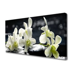 Seinapilt lõuendil Taimsed lilled kivid hind ja info | Seinapildid | kaup24.ee