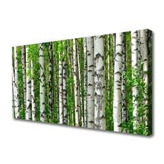 Seinapilt lõuendil Metsa loodus hind ja info | Seinapildid | kaup24.ee