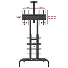 NB AVA 1800 55"-90" (до 90 кг, VESA до 80*50см) цена и информация | Кронштейны и крепления для телевизоров | kaup24.ee