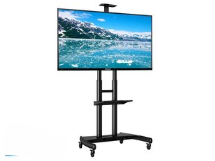 NB AVA 1800 55"-90" (до 90 кг, VESA до 80*50см) цена и информация | Кронштейны и крепления для телевизоров | kaup24.ee