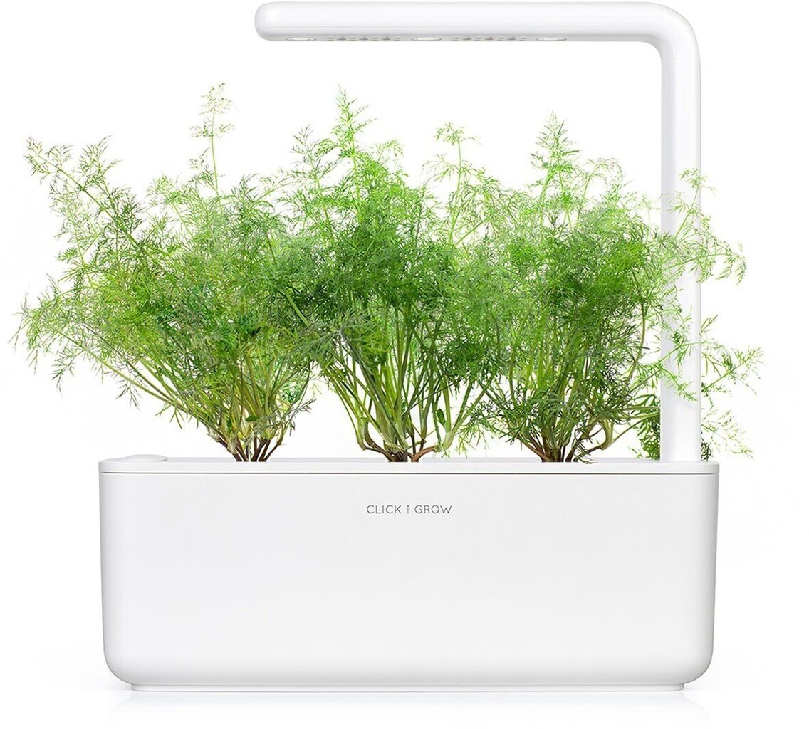 Täitepakk Click & Grow Smart Garden Till, 3 tk цена и информация | Vürtsid, vürtsikomplektid | kaup24.ee