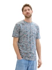 Мужская футболка Tom Tailor, разные цвета цена и информация | Мужские футболки | kaup24.ee