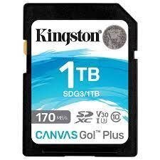 Kingston SDG3/1TB цена и информация | Карты памяти для телефонов | kaup24.ee