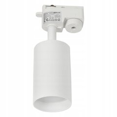 Led-lux Потолочный светильник AL-610 цена и информация | Потолочные светильники | kaup24.ee
