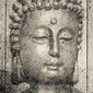 Ruumijaotur Buddha цена и информация | Sirmid ja vaheseinad | kaup24.ee