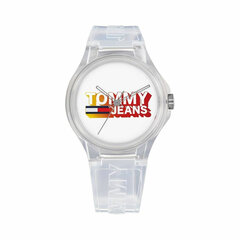 Käekell meestele Tommy Hilfiger 1720027 цена и информация | Мужские часы | kaup24.ee