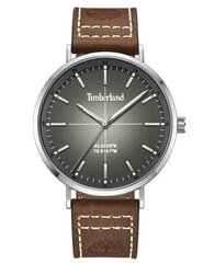 Мужские часы Timberland TDWGA2231101. цена и информация | Мужские часы | kaup24.ee