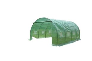 Kasvuhoone Hervin Garden GH-064, 3x4x2 m цена и информация | Теплицы | kaup24.ee