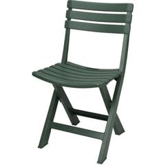 Tool Komodo, roheline цена и информация | Садовые стулья, кресла, пуфы | kaup24.ee