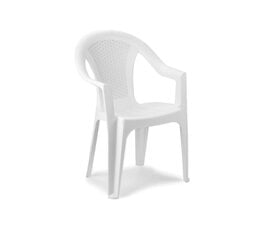 Стул Ischia, белый цена и информация | Садовые стулья, кресла, пуфы | kaup24.ee