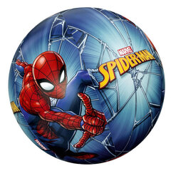 Täispuhutav pall Bestway Spiderman, 51 cm цена и информация | Игрушки для песка, воды, пляжа | kaup24.ee