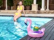 Bestway Float'n Fashion Täispuhutav joogihoidja, 26,5 x 24 cm, roosa flamingo hind ja info | Täispuhutavad veemänguasjad ja ujumistarbed | kaup24.ee