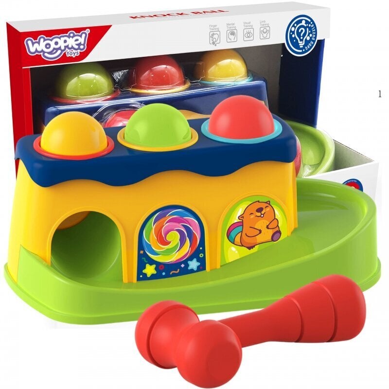 Montessori õppemänguasja Woopie mänguasi hind ja info | Arendavad mänguasjad | kaup24.ee