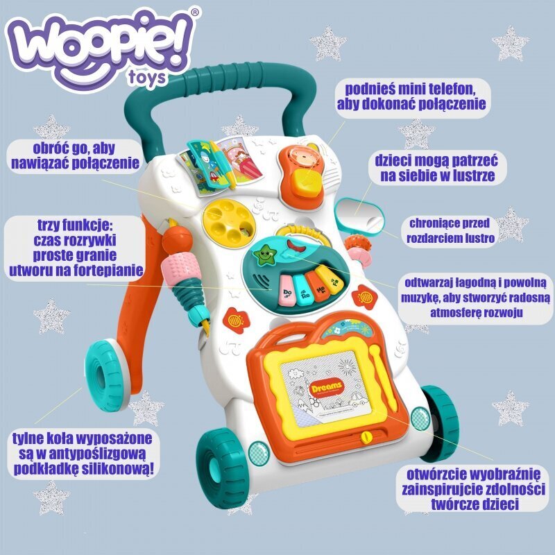 9in1 Woopie Baby Activity House hind ja info | Imikute mänguasjad | kaup24.ee
