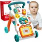 9in1 Woopie Baby Activity House hind ja info | Imikute mänguasjad | kaup24.ee