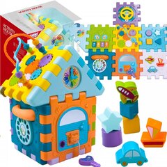 Mänguasi 9in1 Woopie Baby Activity House hind ja info | Arendavad mänguasjad | kaup24.ee