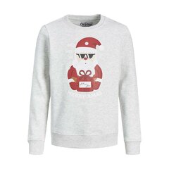 Толстовка без капюшона мужская Jack & Jones 12219685  Белый цена и информация | Мужские толстовки | kaup24.ee