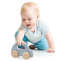 Puidust auto Viga, sinine hind ja info | Imikute mänguasjad | kaup24.ee