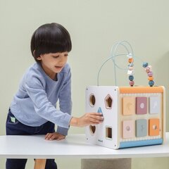 Развивающий кубик 8 в 1 Viga  цена и информация | Развивающие игрушки и игры | kaup24.ee